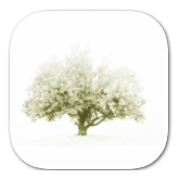 GartenSaison-App-Icon
