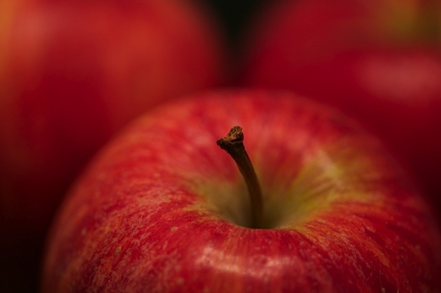 Steirischer Apfel der Sorte ‘Gala’. Foto © GartenAkademie.com