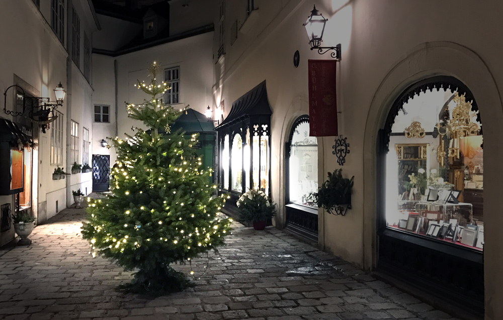 Weihnachtsbaum Wien City © GartenAkademie.com